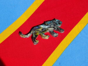 DSCN6882